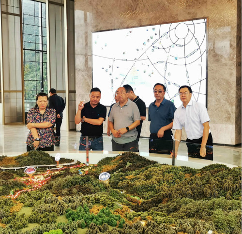 荥经文脉润古今 省委省政府决策咨询委员会赴荥调研纪实