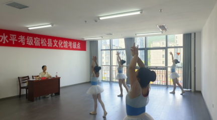 2024年宿松县文化馆全国社会艺术水平考级工作圆满完成